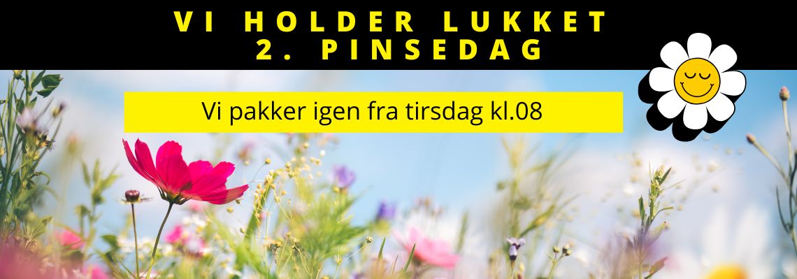 Header slider image