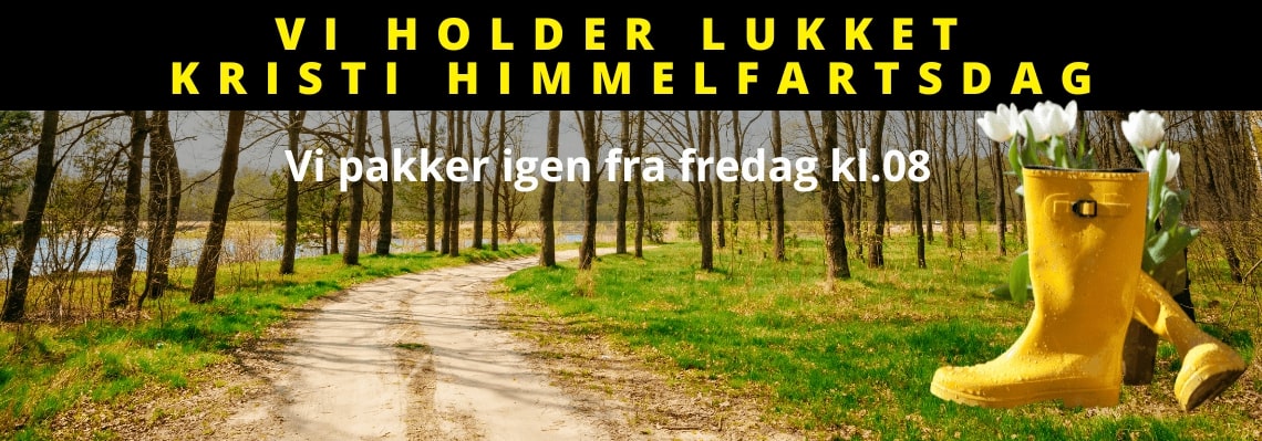 Header slider image