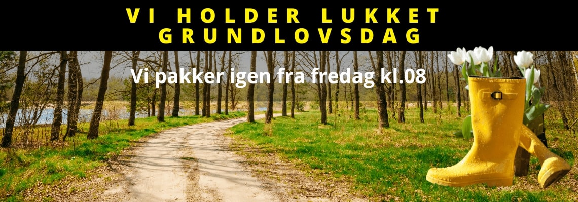 Header slider image